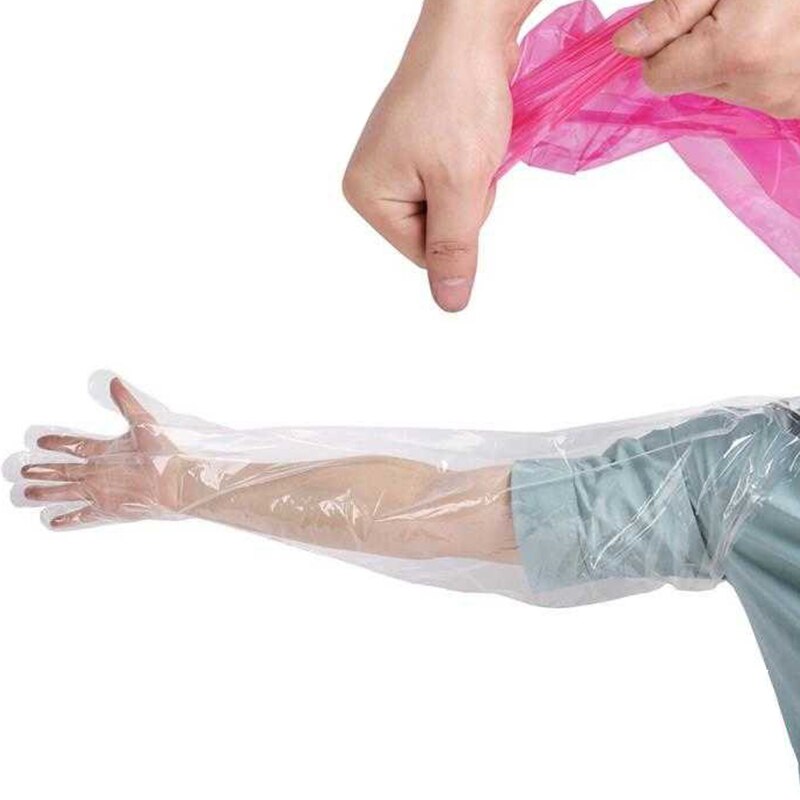 ȸ      尩,   尩, ȸ ׽, Ʈ, 50 